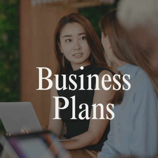 Basic Business Plan Review